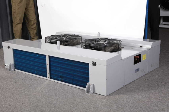 ED Serious industrial double-side blow air cooler