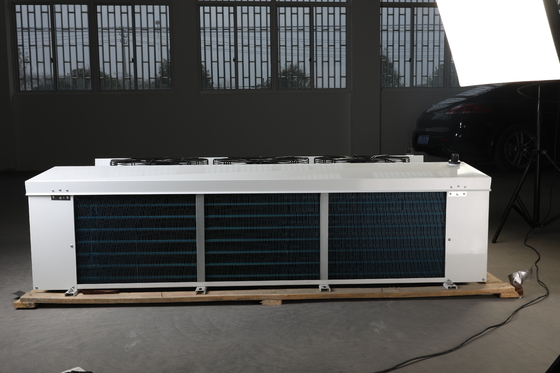 EE Series Commercial Double-Side Air Cooler