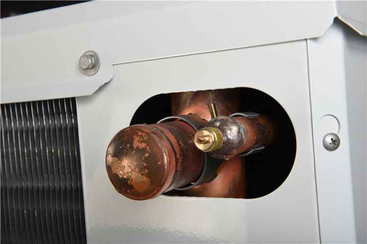 R22/R404a Refrigerant Cold Room Air Cooler Cold Storage Evaporator