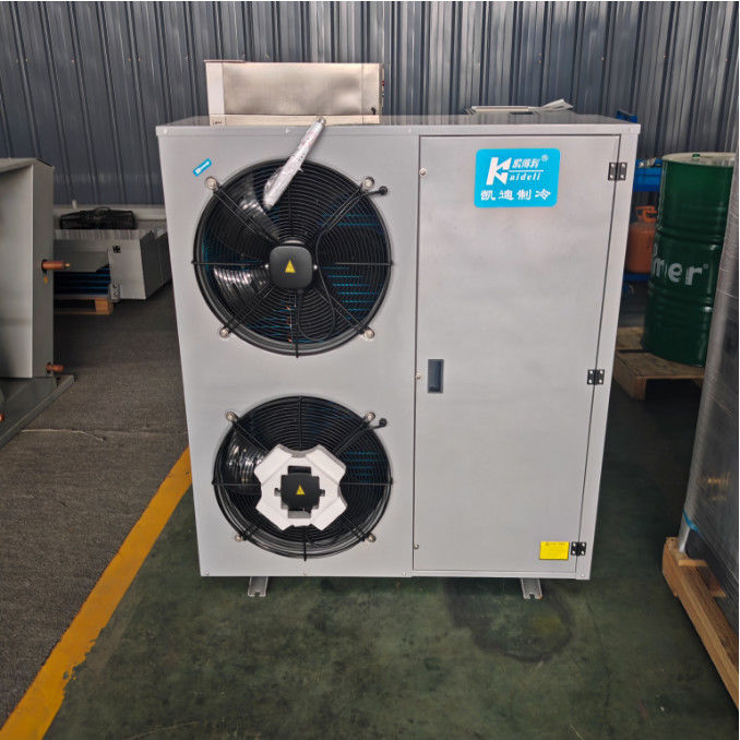 Oem Service YES 380V/50HZ Cold Room Condensing Unit with Air-cooled Evaporator Type