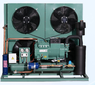 Open type unit Superior Cold Room Air Cooler Refrigeration with Bitzer Compressor Comprehensive Product Line for Wide Range of Applications Components