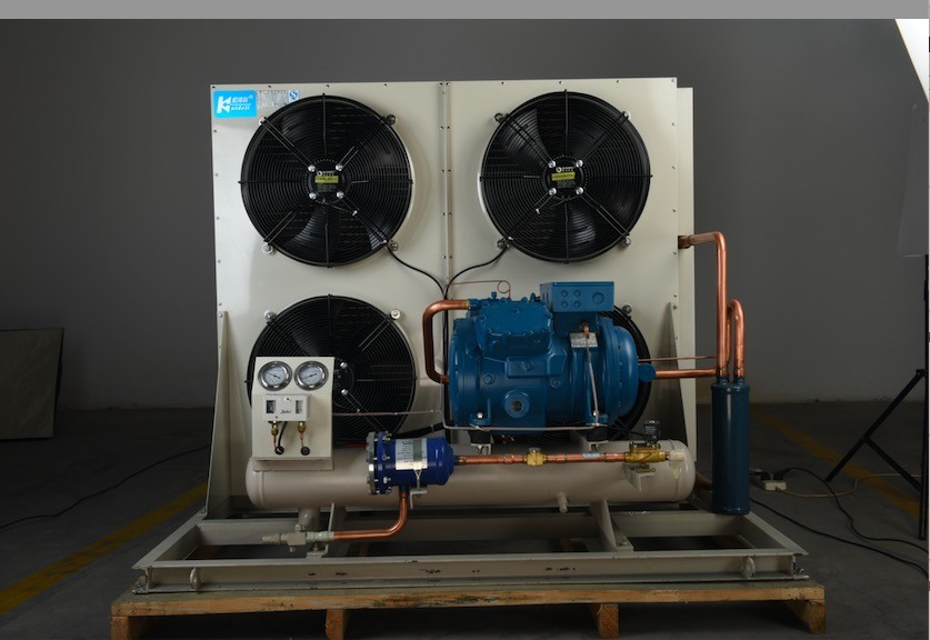 Frost Temp Monoblock Cold Room Condensing Unit Cooling System For Cold Storage