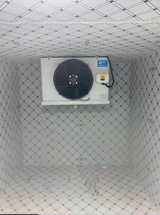 Customized Coolroom Evaporator Freezer Room Equipment Air Cooler Single Fan 220v