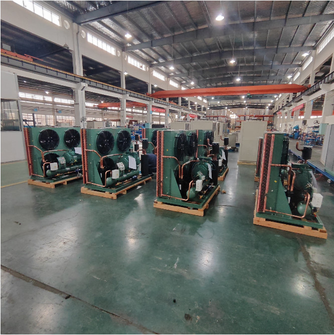 Open Type Condensing Unit Equipment For Hotels Building Material Shops
