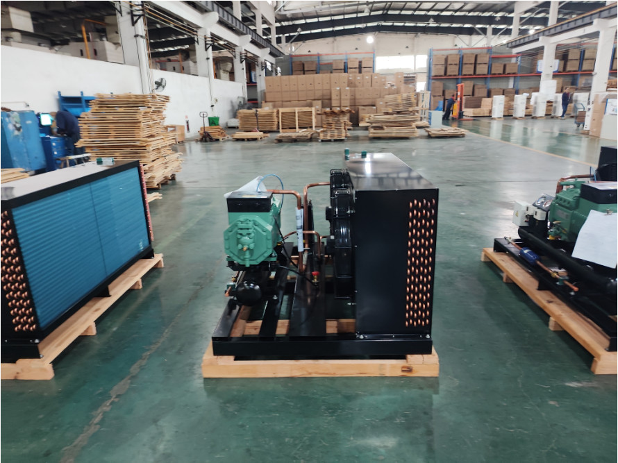 Customized Refrigeration Cold Room Condensing Unit Piston Compressor